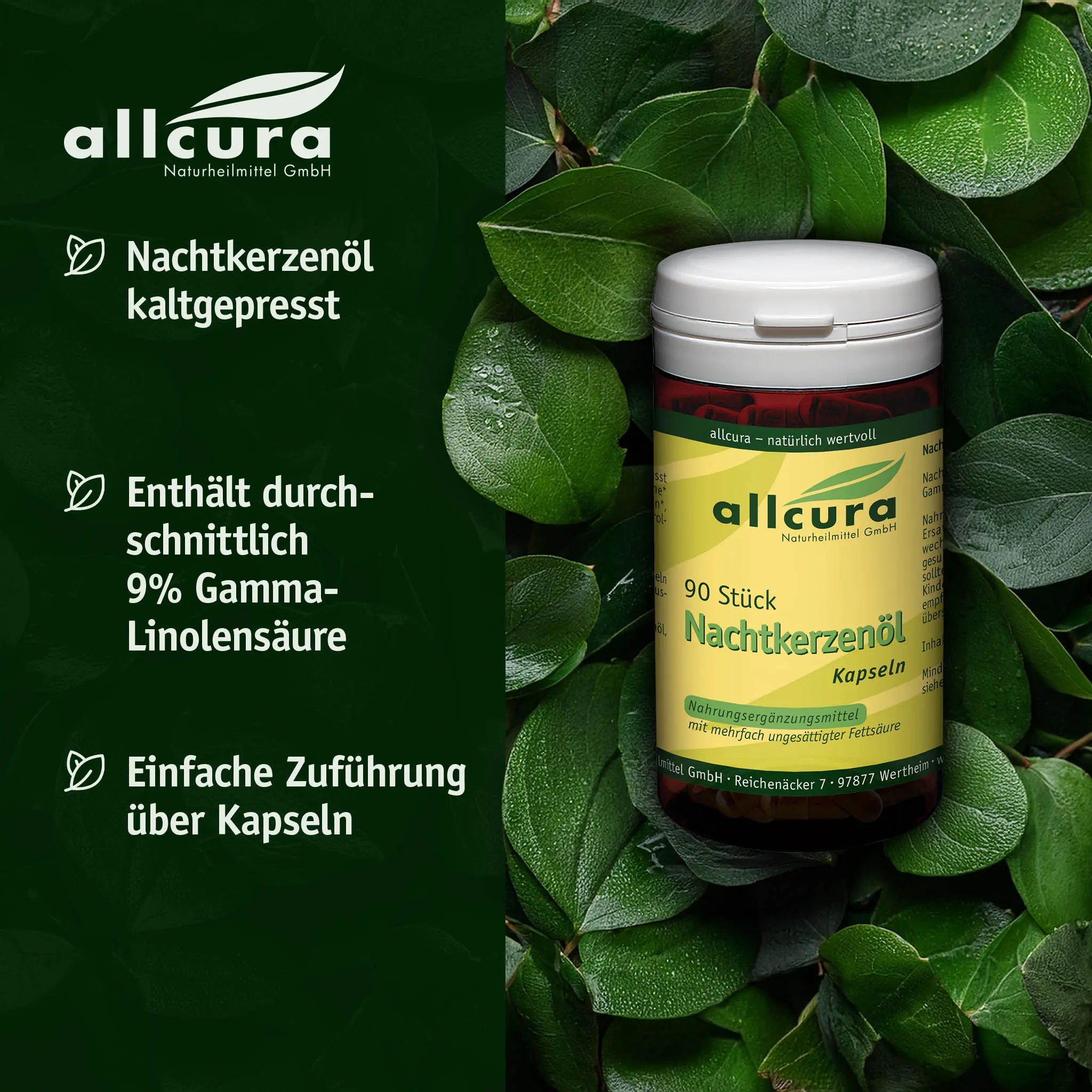 Nachtkerzenöl-Kapseln (90Stück) BIO Allcura - Sanoverde