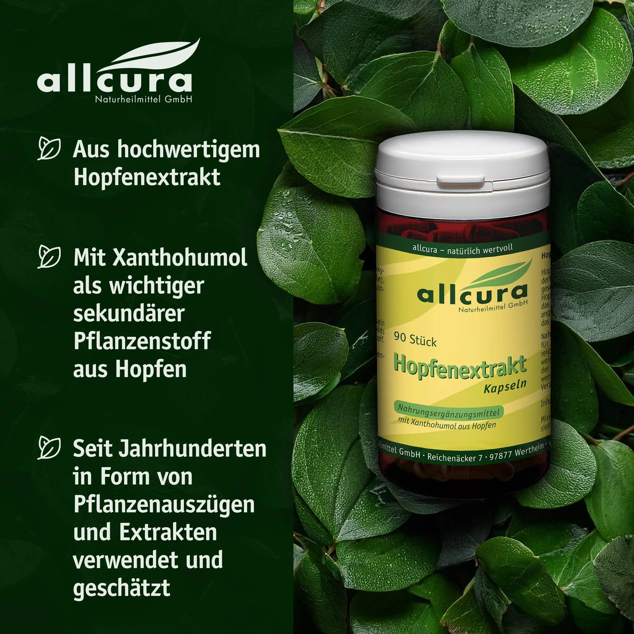 Hopfenextrakt, 90 Kapseln BIO Allcura - Sanoverde