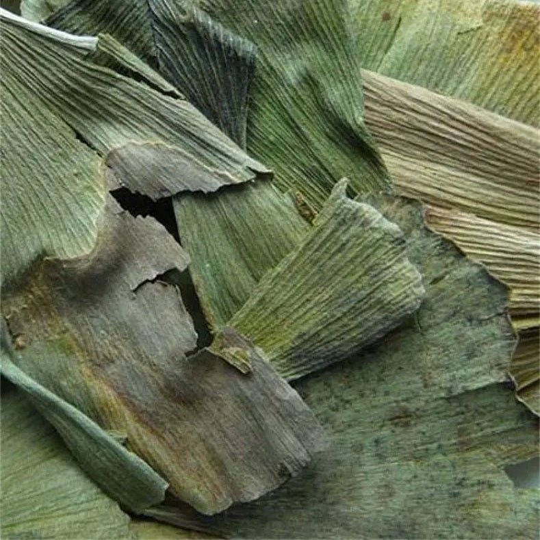 Ginkgo Blätter Tee, 100 g BIO - Sanoverde