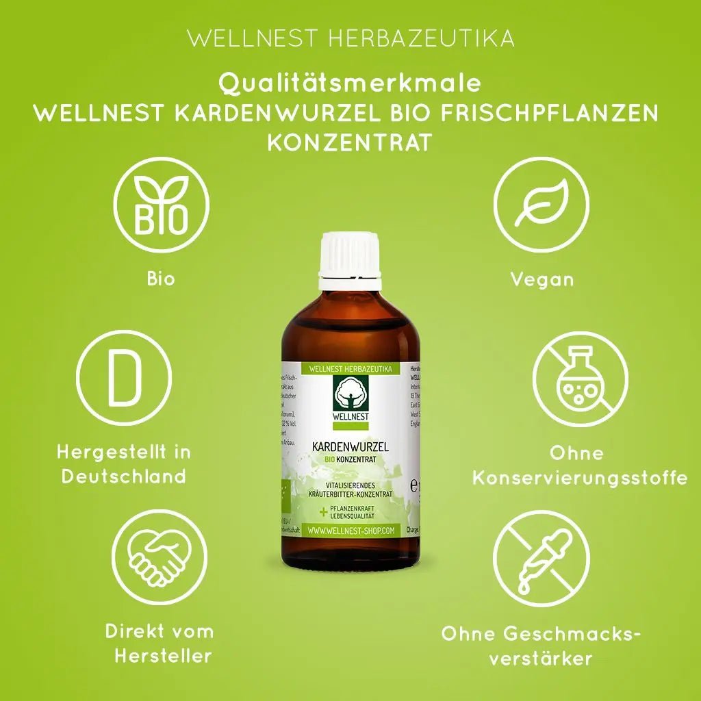 Kardenwurzel - Tinktur BIO, 100ml - Sanoverde