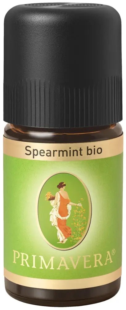 Spearmint bio Ägypten - Sanoverde