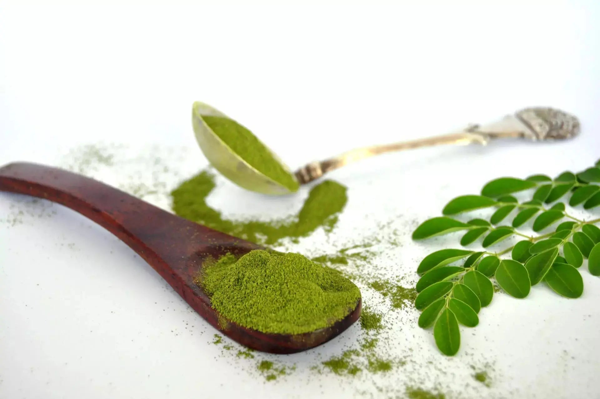 Moringa Blattpulver 120g BIO Vita Biosa - Sanoverde