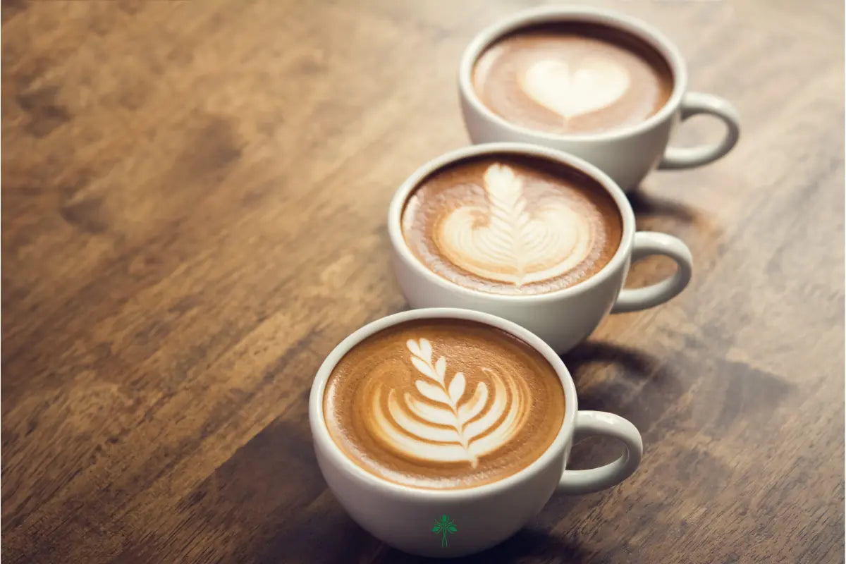 Kaffee - Sanoverde