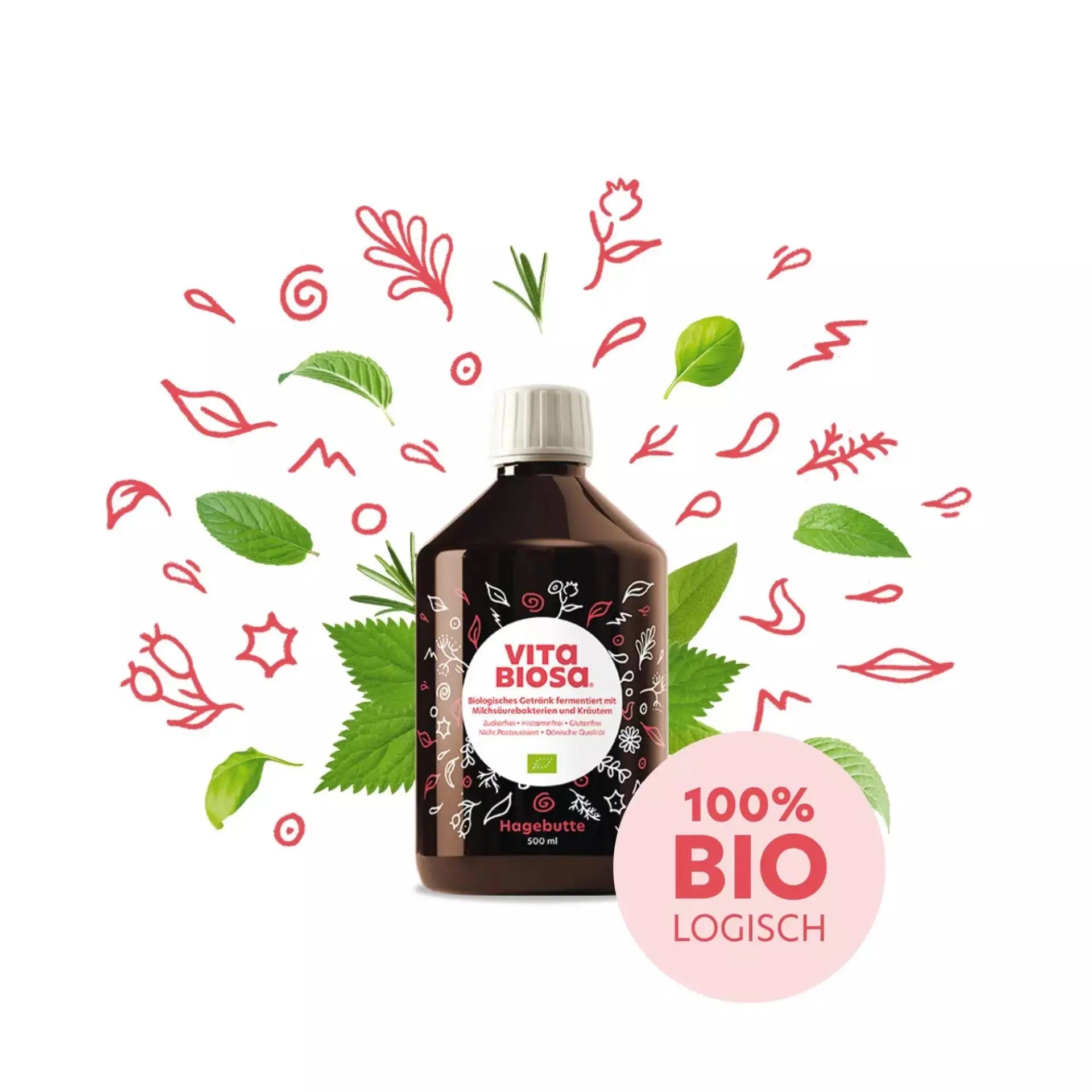 Vita Biosa Hagebutte, 500 ml Vita Biosa - Sanoverde