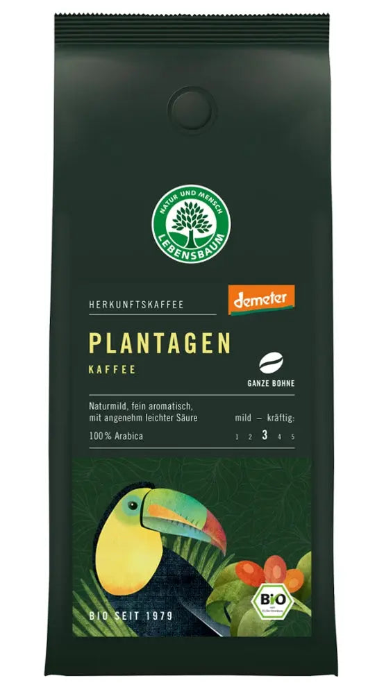 Plantagen Kaffee Bohne Lebensbaum - Sanoverde