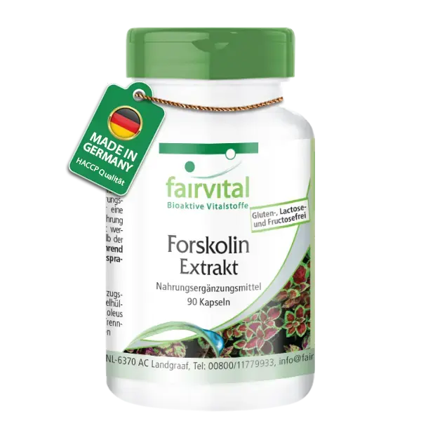 Forskolin Extrakt (90 Kapseln) Fairvital - Sanoverde