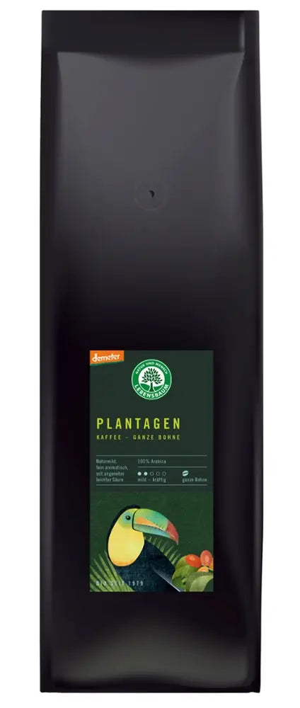 Plantagen Kaffee Bohne Lebensbaum - Sanoverde