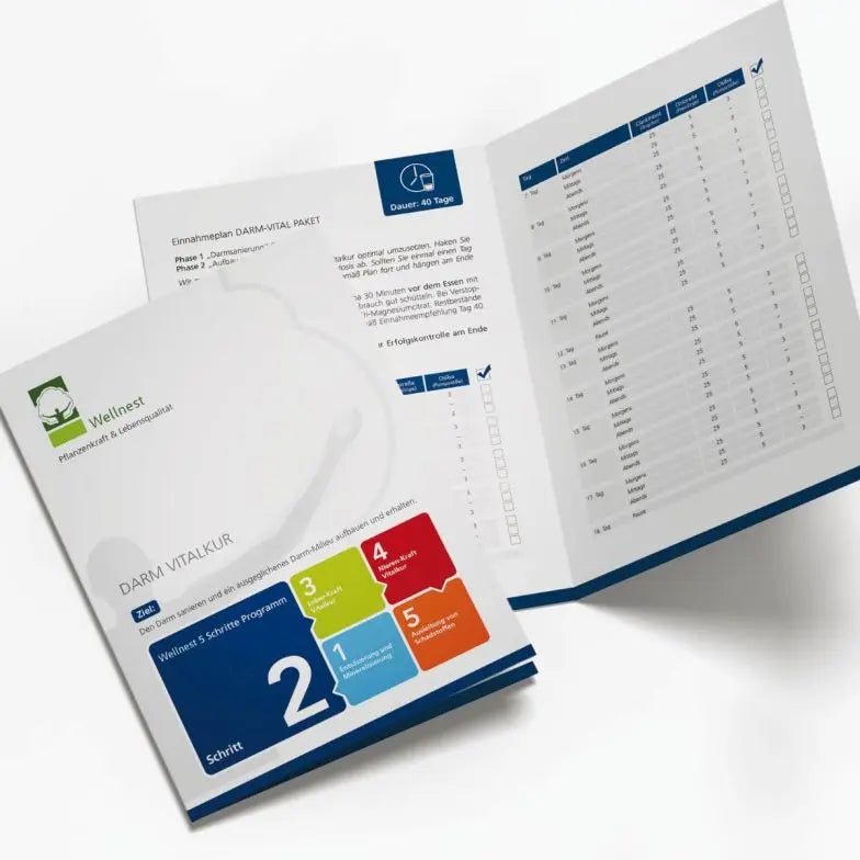 Darm Vitalkur Paket (40 Tage) - Sanoverde