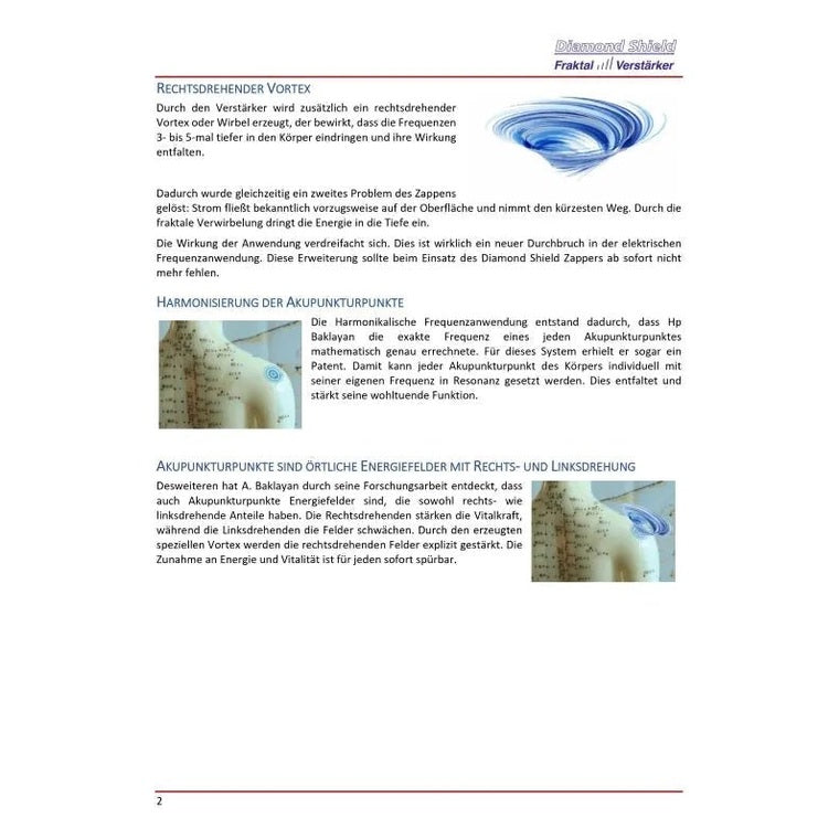Fraktal - Verstärker für Zapper - Sanoverde