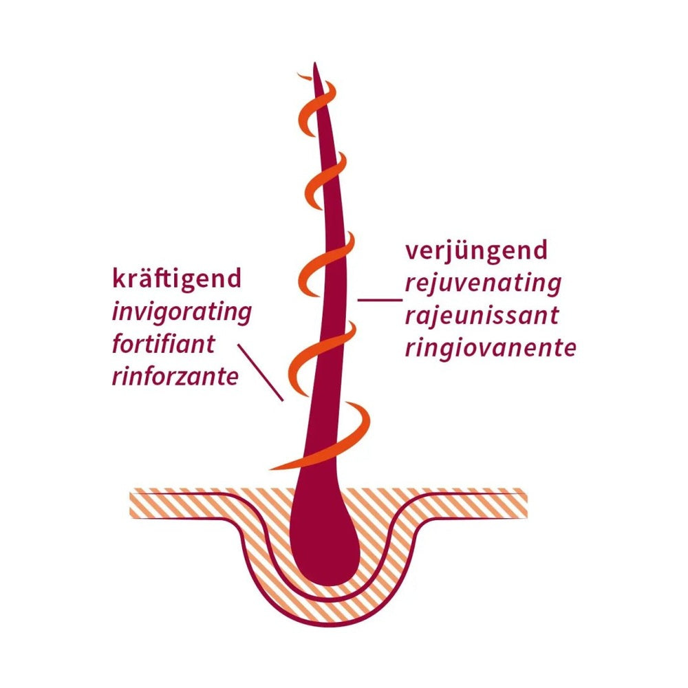 Haaröl Strong Amla - Sanoverde