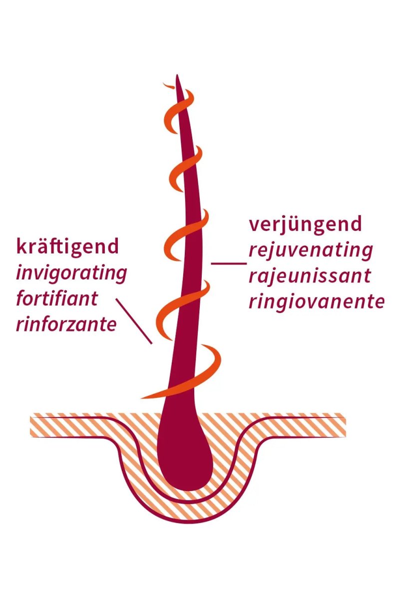 Haaröl Strong Amla - Sanoverde