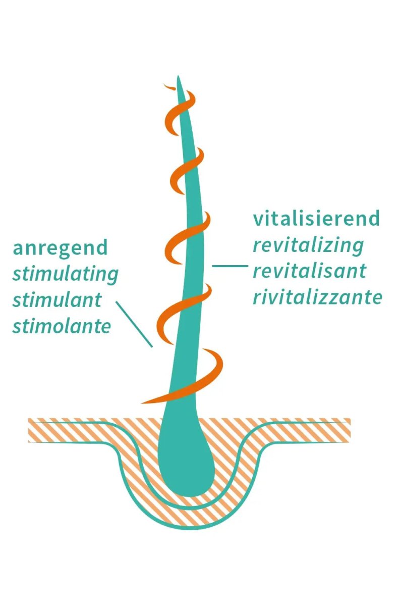 Haaröl Vitality Grow - Sanoverde