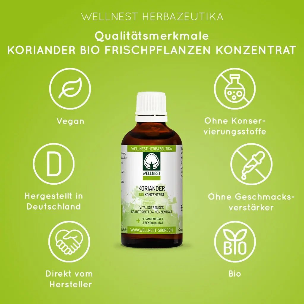 Koriander Konzentrat - Sanoverde