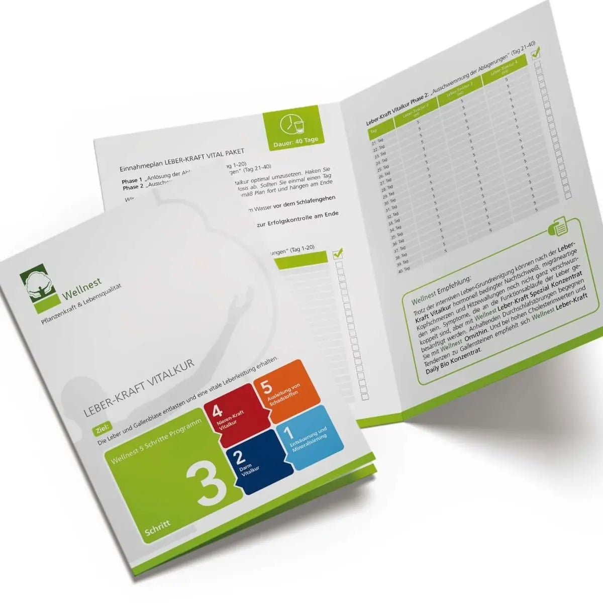 Leber - Kraft Vital Paket - Sanoverde