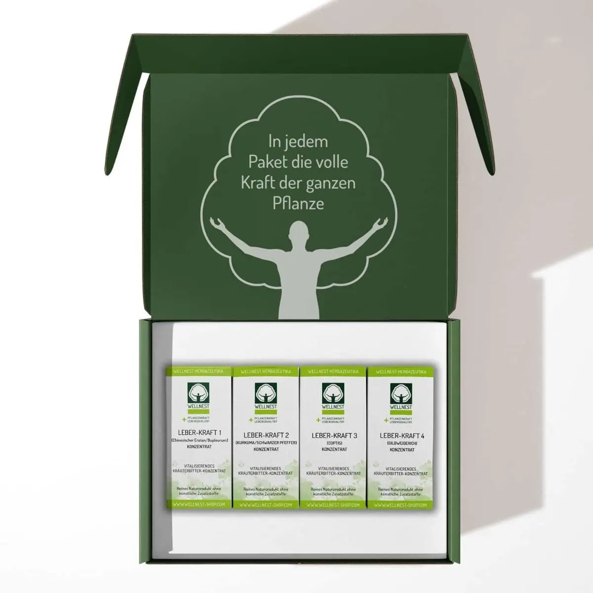 Leber - Kraft Vital Paket - Sanoverde
