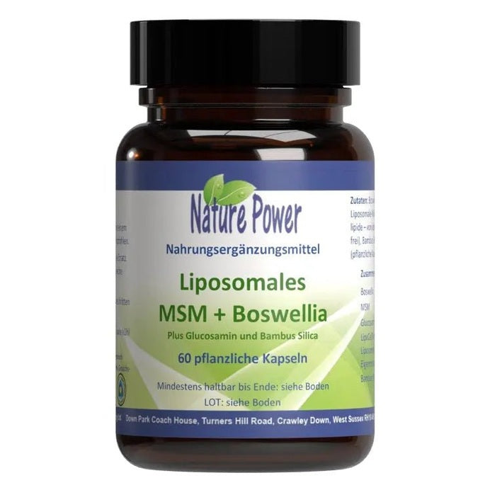 Liposomales MSM + Boswellia - Sanoverde