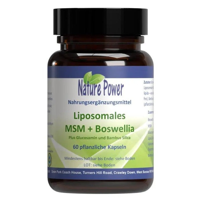 Liposomales MSM + Boswellia - Sanoverde