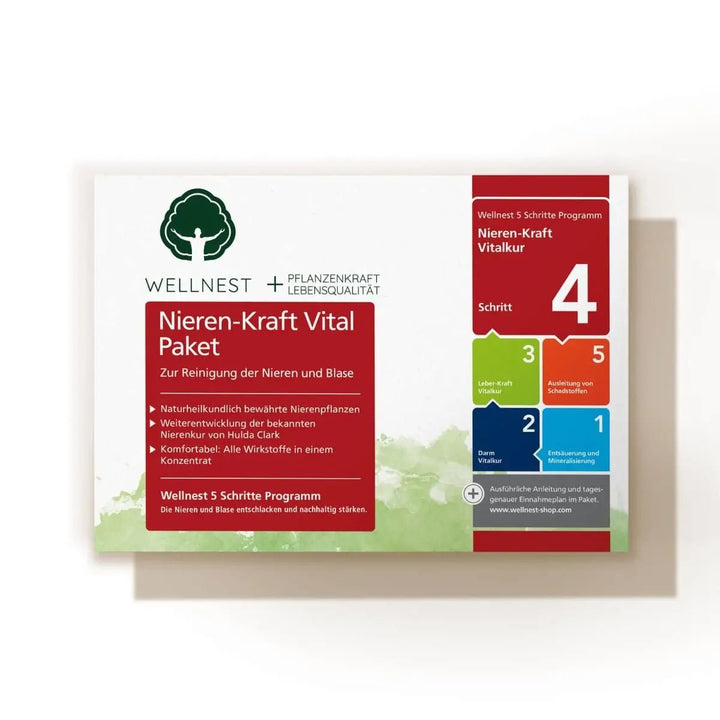 Nieren-Kraft Vital Paket