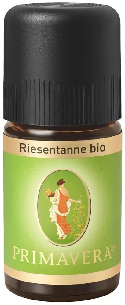 Riesentanne bio Frankreich - Sanoverde