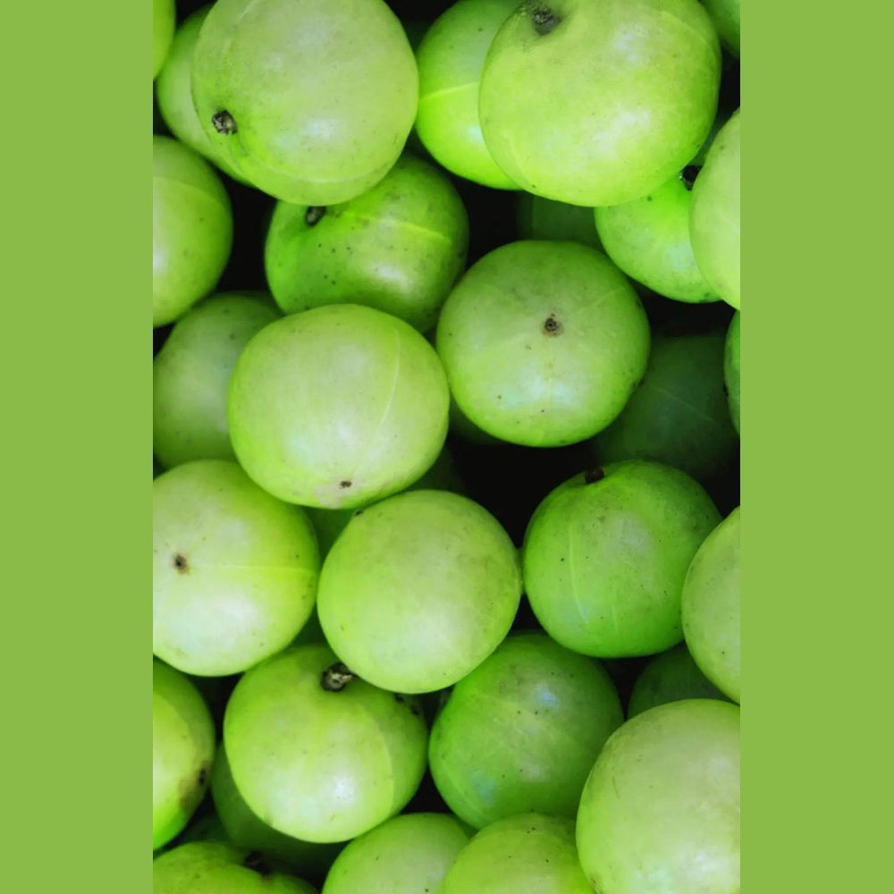 Shampoo Amla Volume - Sanoverde