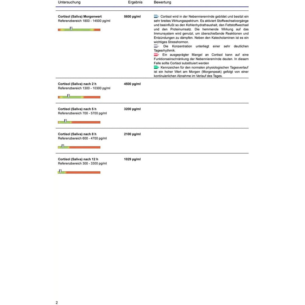 Stressprofil Test - Sanoverde