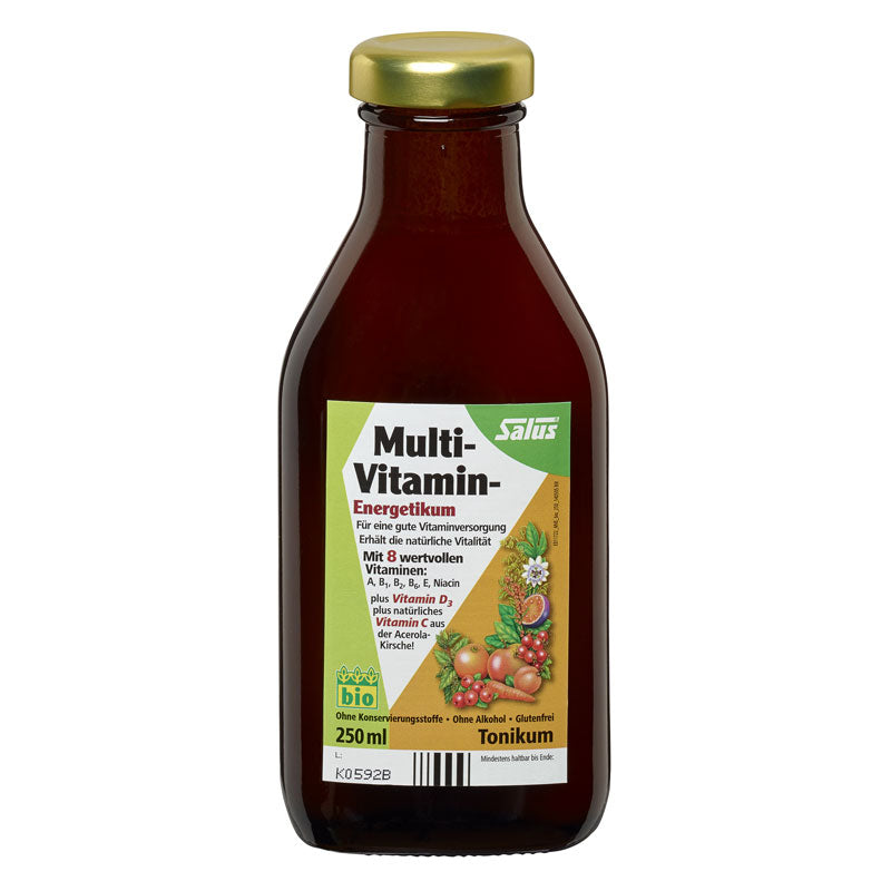 Salus Multi-Vitamin-Energetikum 500 ml
