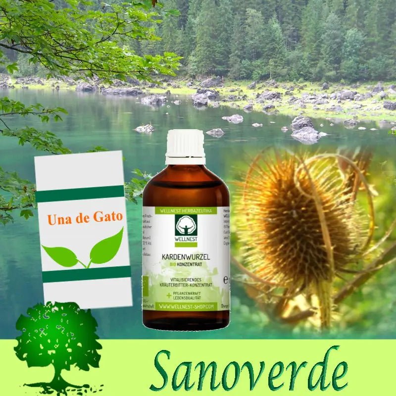 Vitalkur 2 - Sanoverde