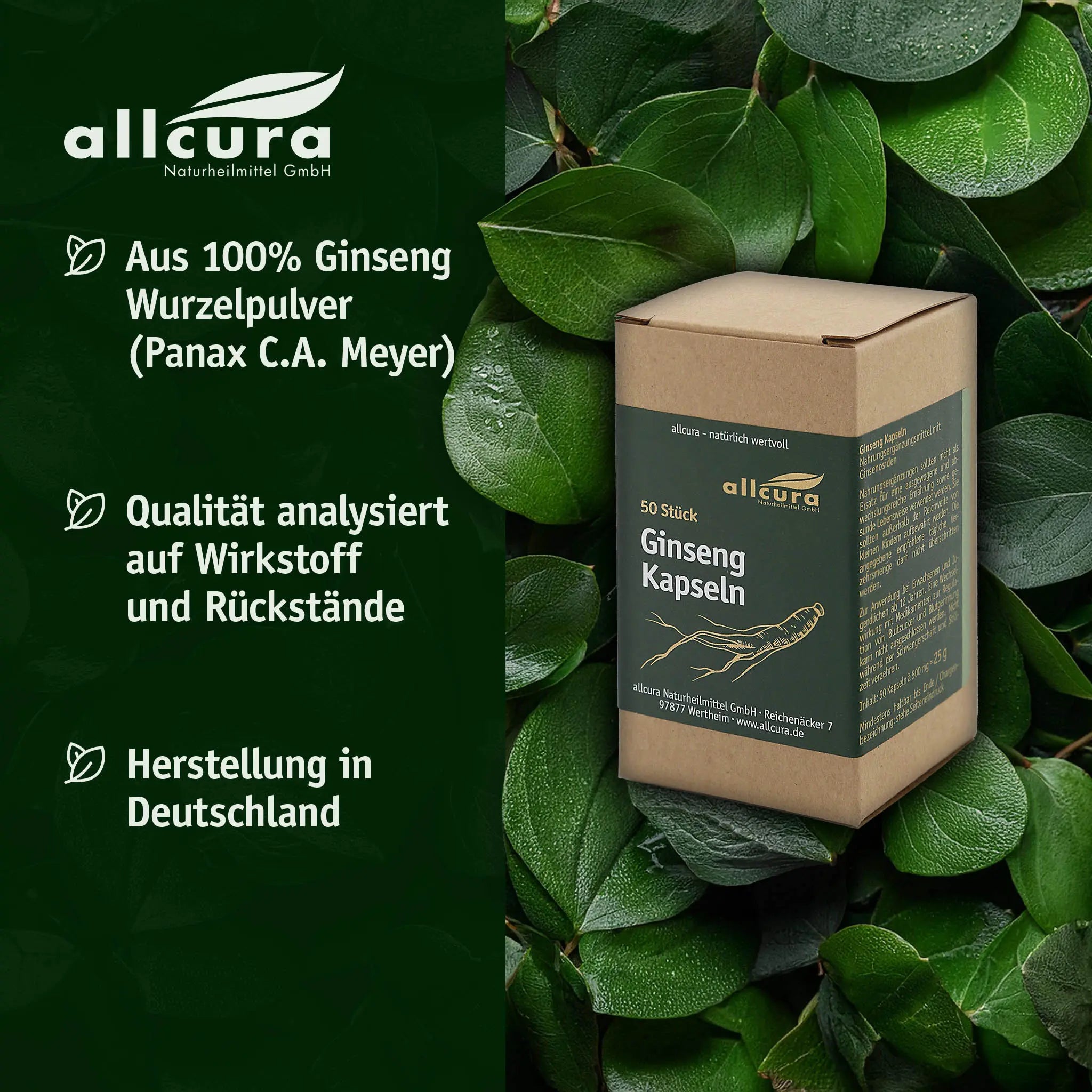 IL HWA Ginseng, 50 Kapseln BIO Allcura - Sanoverde