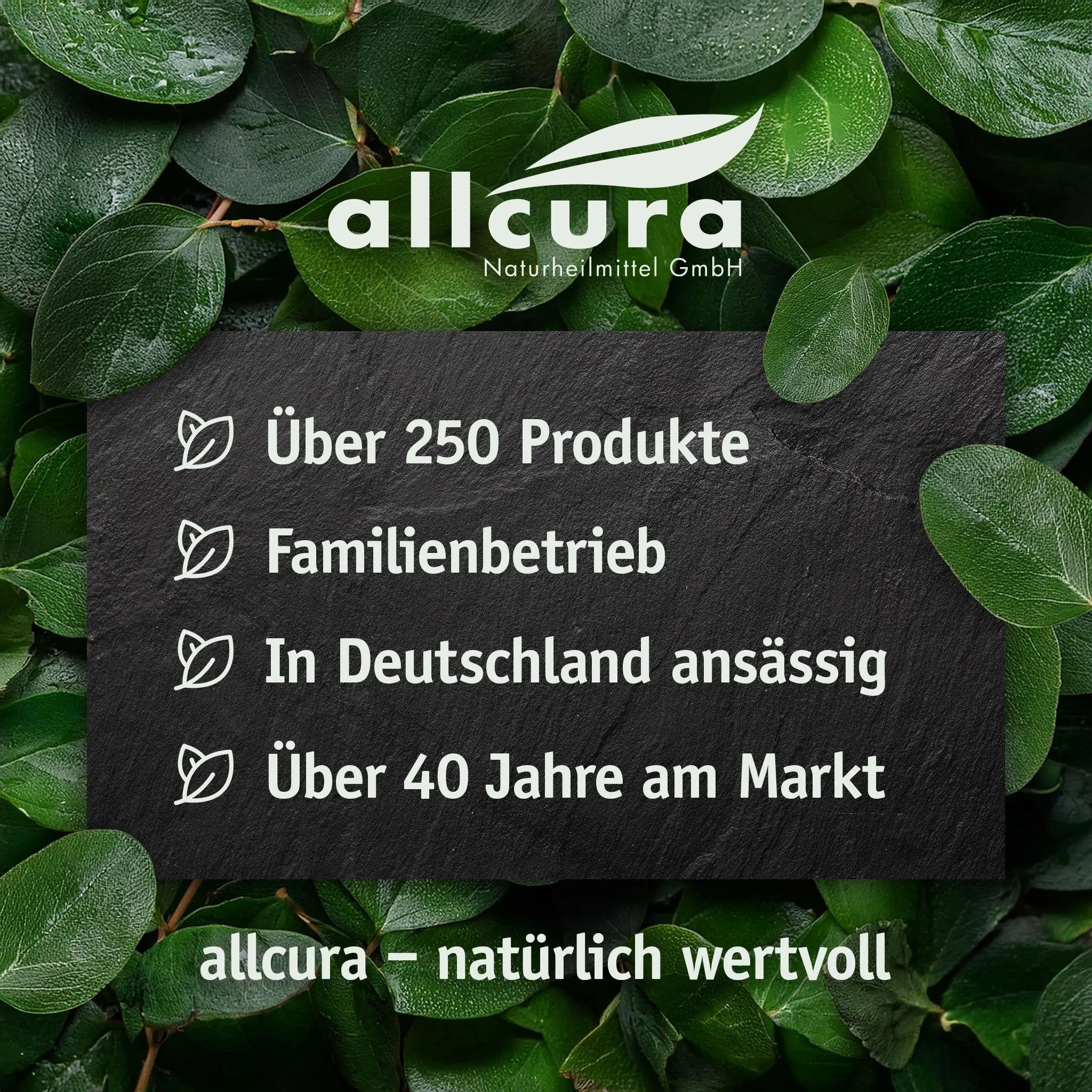Balsamka Bewegungs-Gel, BIO (200ml) Allcura - Sanoverde